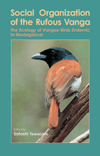 Social Organization of the Rufous Vanga